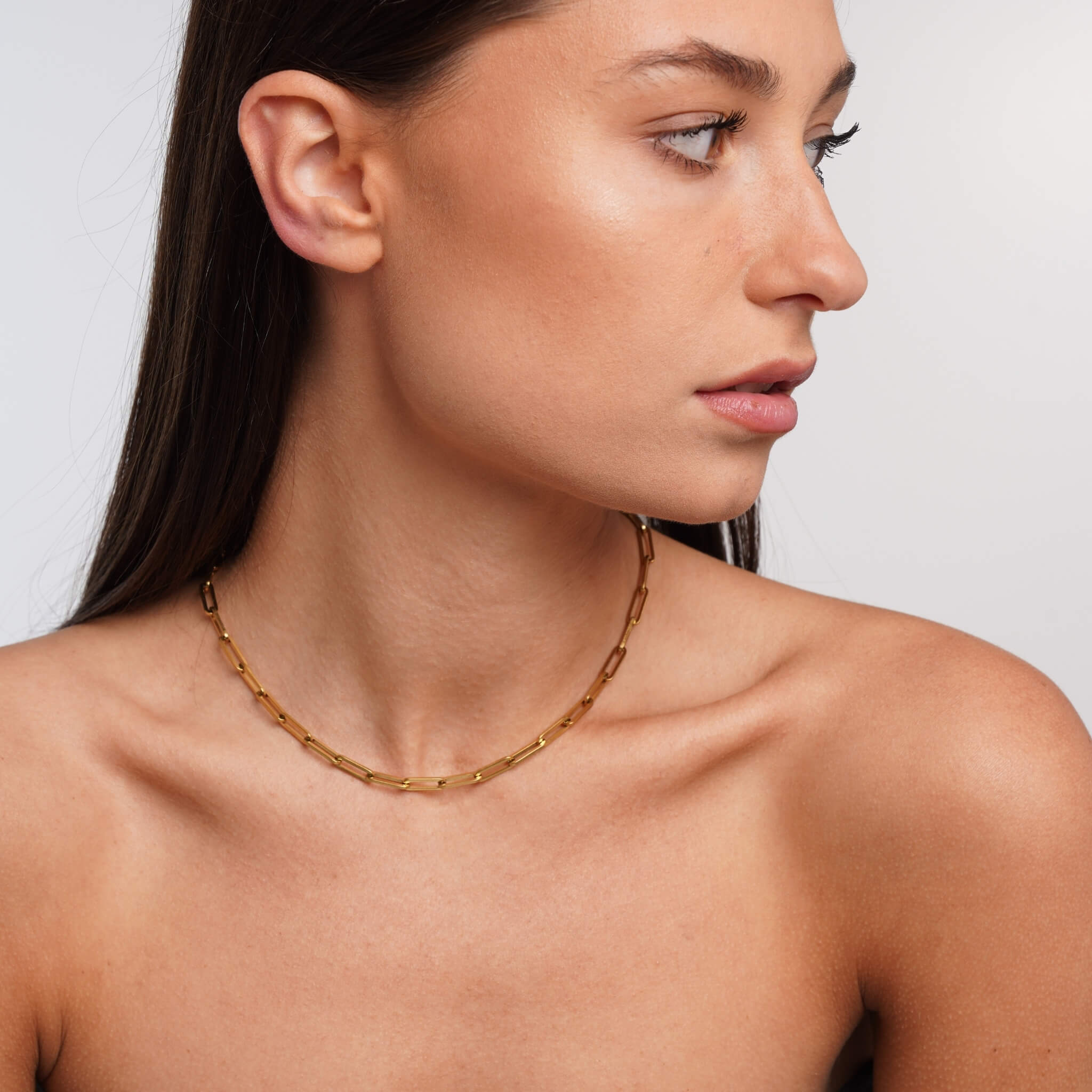 Celyssa Link Necklace