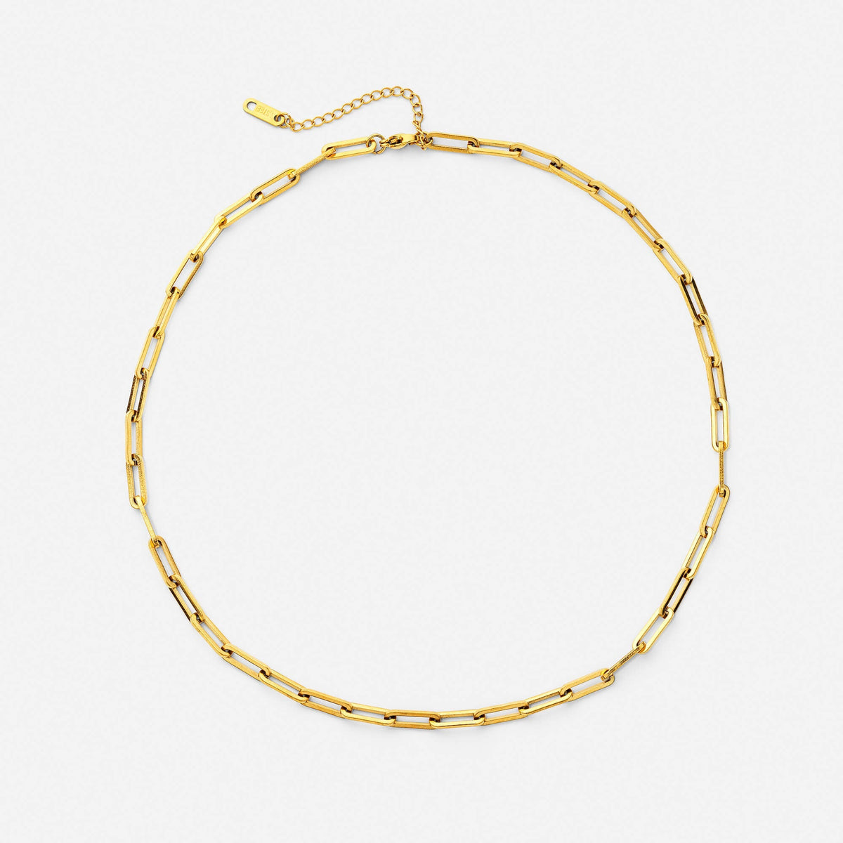 Celyssa Link Necklace