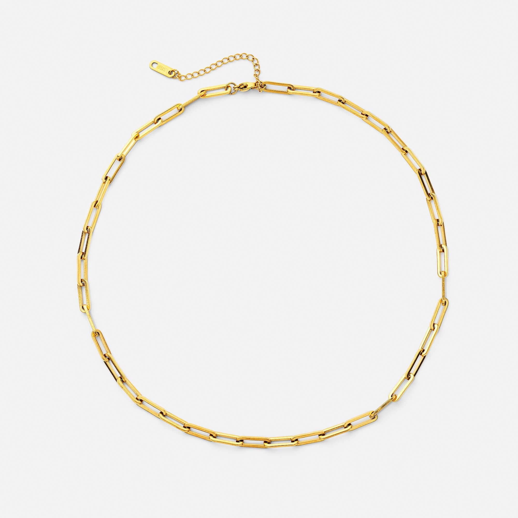 Celyssa Link Necklace
